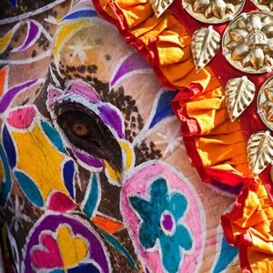 Meet your Posher, Kathleen